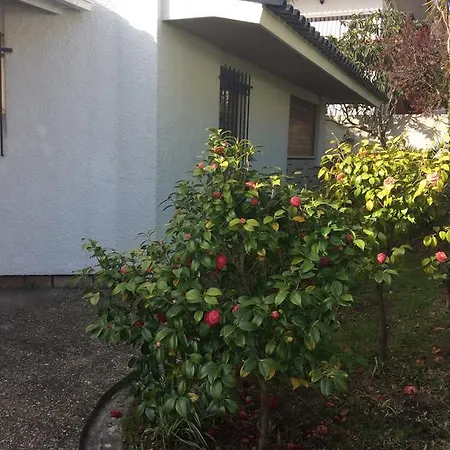 Ferienhaus Casa Dos Oliva *