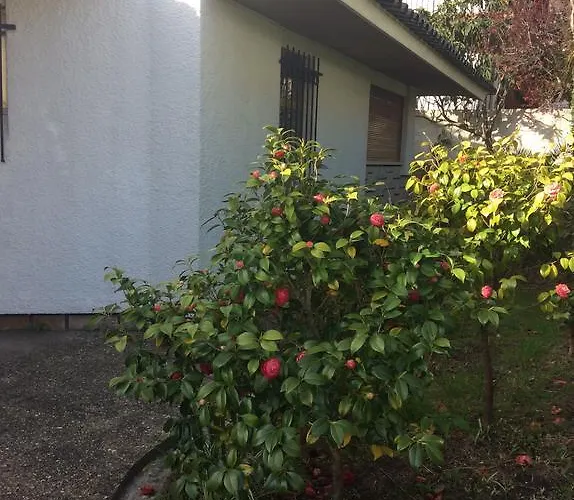 Ferienhaus Casa Dos Oliva *